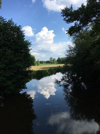 Reflection of trees in lake