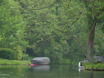 Scenic view of lake in forest