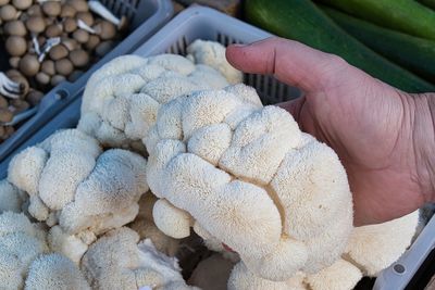 Lions mane mushrooms on a farmer's market counter.