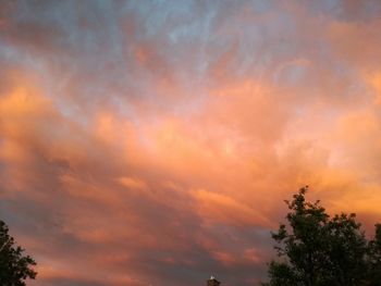 Silhouette of trees at sunset