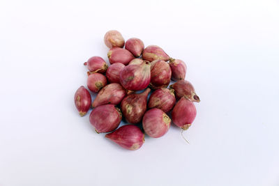 High angle view of fruits in plate against white background