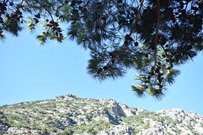 Low angle view of tree mountain against clear blue sky