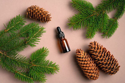 High angle view of christmas tree on table