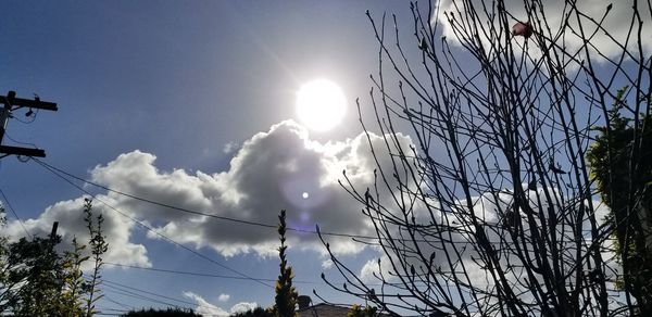 Low angle view of tree against sky