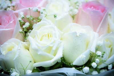 Close-up of rose bouquet