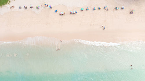 Aerial top view small people group tourist playing in the sea on vacation and umbrella on the beach