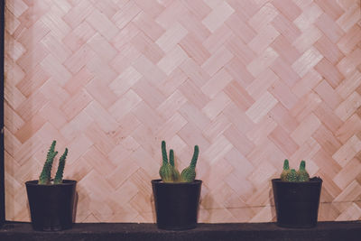 Potted plants on tiled floor against wall