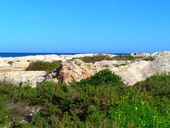 Scenic view of sea against clear blue sky