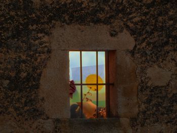 Woman holding yellow window of building