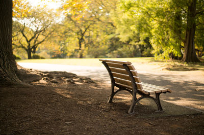 Empty chair against trees