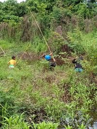 People working on field