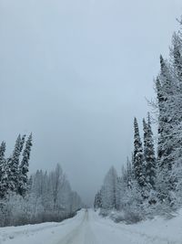 Snow covered road amidst trees against sky during winter