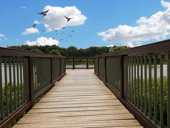 View of birds flying over footbridge against sky