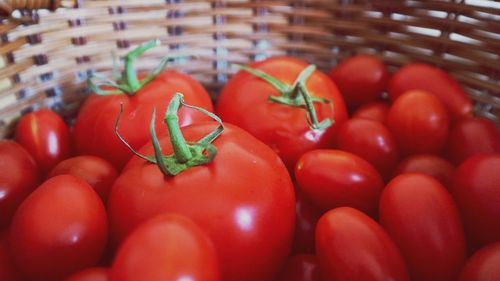 Close-up of tomatoes in basket for sale