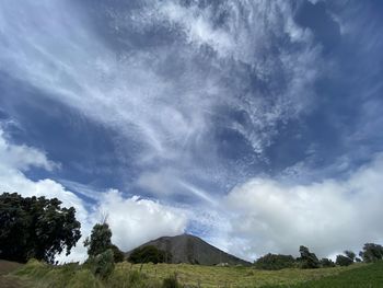 Low angle view of trees on mountain against sky