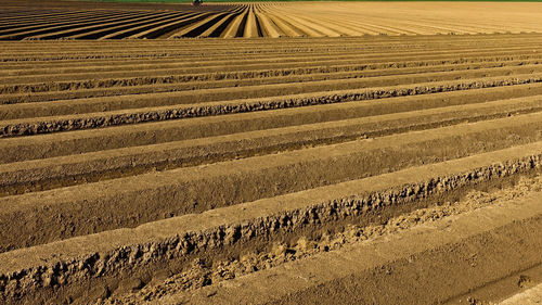 High angle view of agricultural field