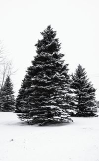 Scenic view of snow covered landscape