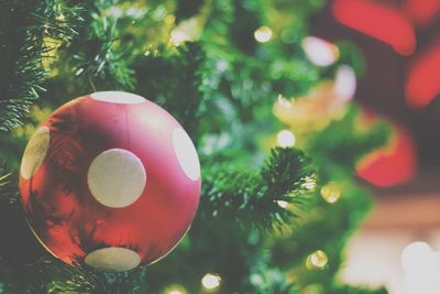 Close-up of christmas decoration hanging on tree