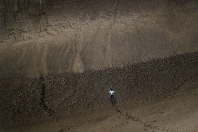 Rear view of man standing on ground