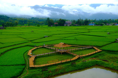 Scenic view of agricultural field against sky