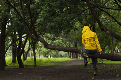 Rear view of man with yellow umbrella in forest