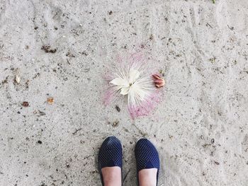 Low section of person standing on tiled floor