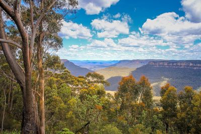 Scenic view of landscape and mountains against sky