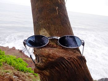 Close-up of sunglasses on tree trunk by sea