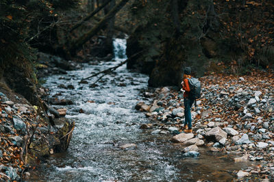 Person standing on rock in forest