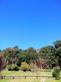 Scenic view of green landscape and mountains against clear blue sky