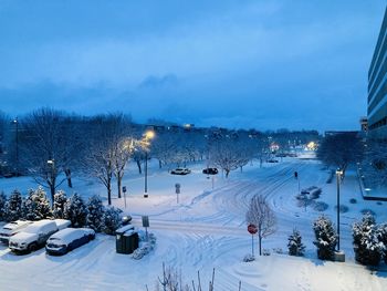 winter