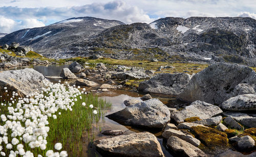 Geiranger, dalsnibba, sunnmøre, stryn, stranda, møre og romsdal, norway.