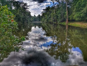 Reflection of trees in lake against sky