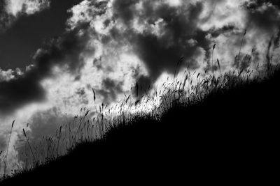 Silhouette of birds flying against cloudy sky