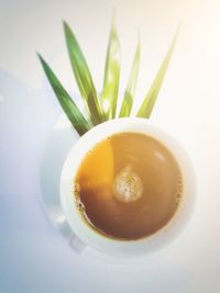 High angle view of drink on table