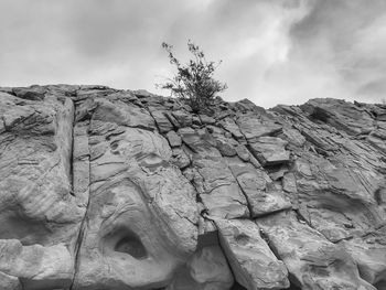 Black and white vertical landscape of rock formation and a solitary plant