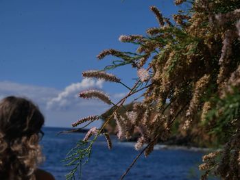 Rear view of woman on plant against sky