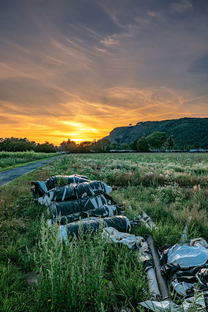 SCENIC VIEW OF FIELD AGAINST SKY AT SUNSET