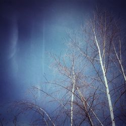 Low angle view of bare tree against blue sky