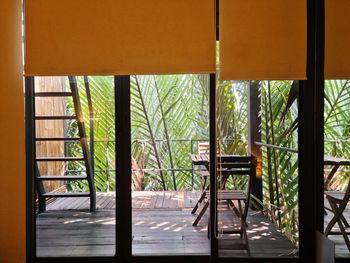 Trees seen through open window