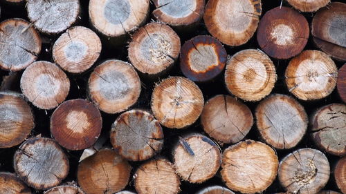 Full frame shot of logs