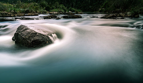 Scenic view of waterfall in forest