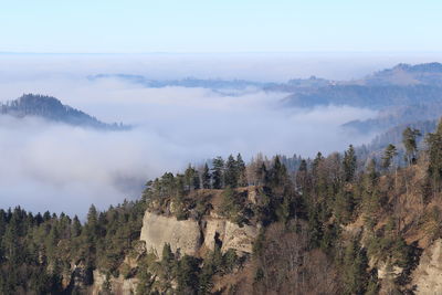 Panoramic view of fog over landscape