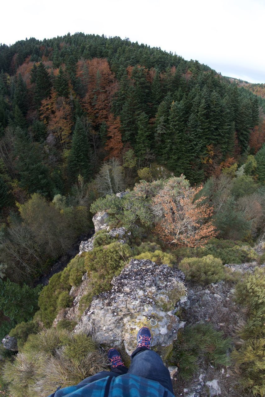 LOW SECTION OF PERSON ON ROCK BY TREE MOUNTAIN