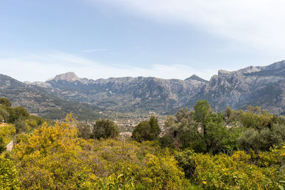 Panoramic view city soller with lush vegetation and mountain scenery