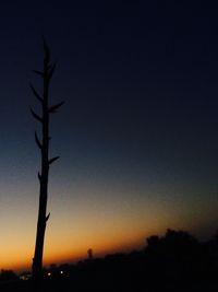 Low angle view of silhouette tree against clear sky at night