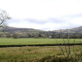 Scenic view of field against sky