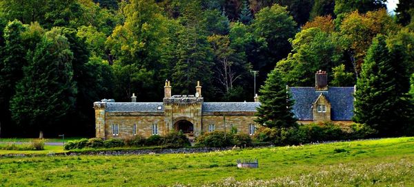 View of cemetery against trees and building