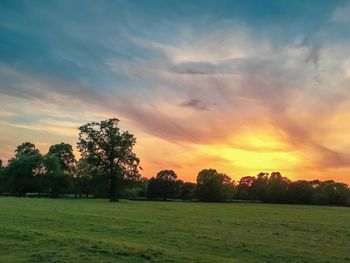 Scenic view of field against sky during sunset