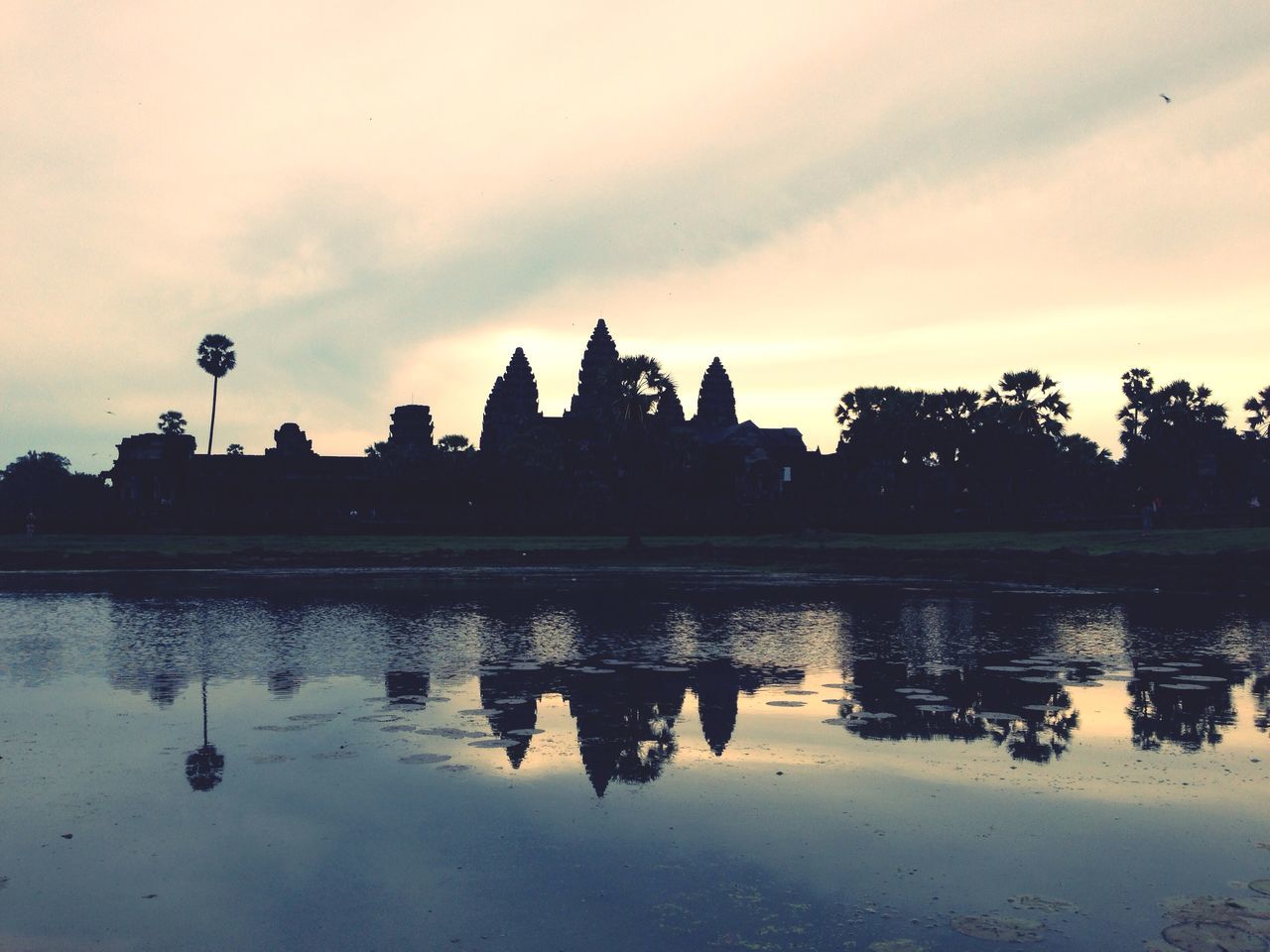 Angkor Wat Temple (អង្គរវត្ត)